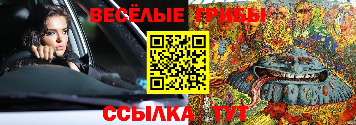 где можно купить наркотик  Псилоцибиновые грибы Magic Shrooms  Вход с VPN  Тула 