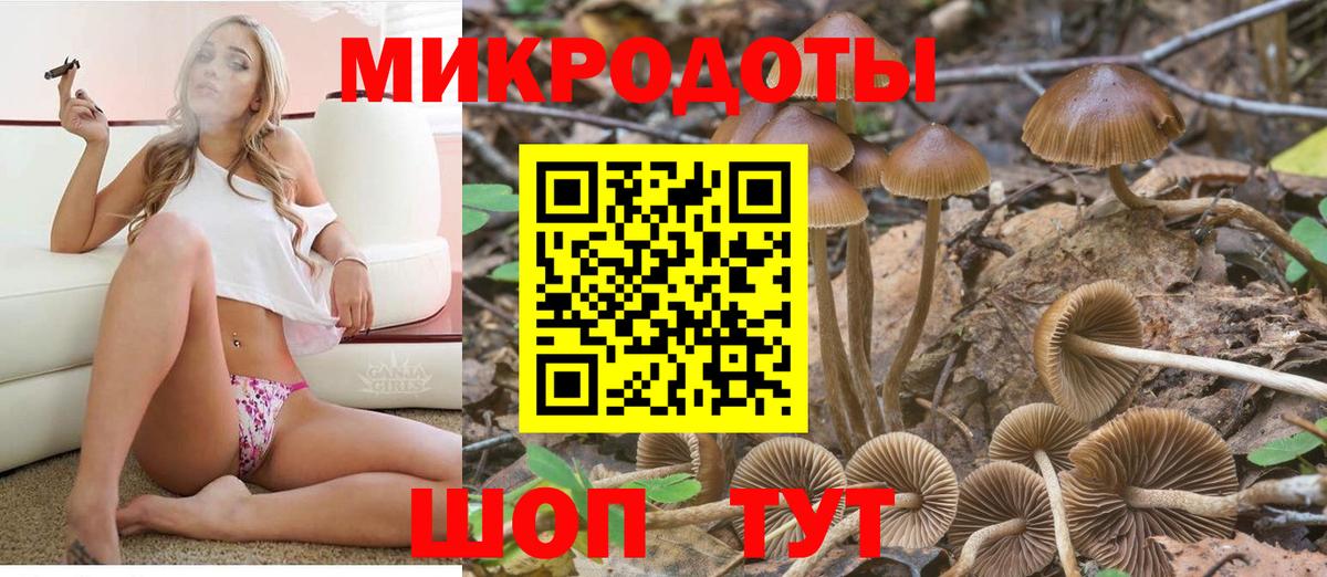Галлюциногенные грибы Psilocybe Тула
